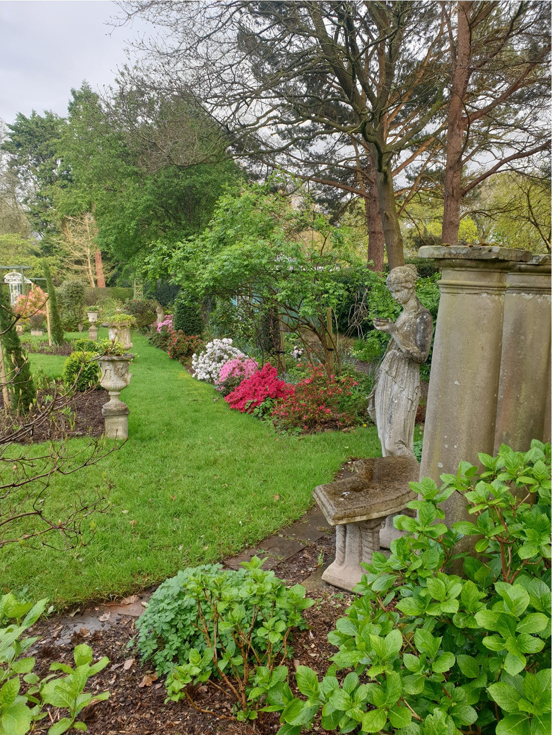Classical Garden Hebe with azaleas